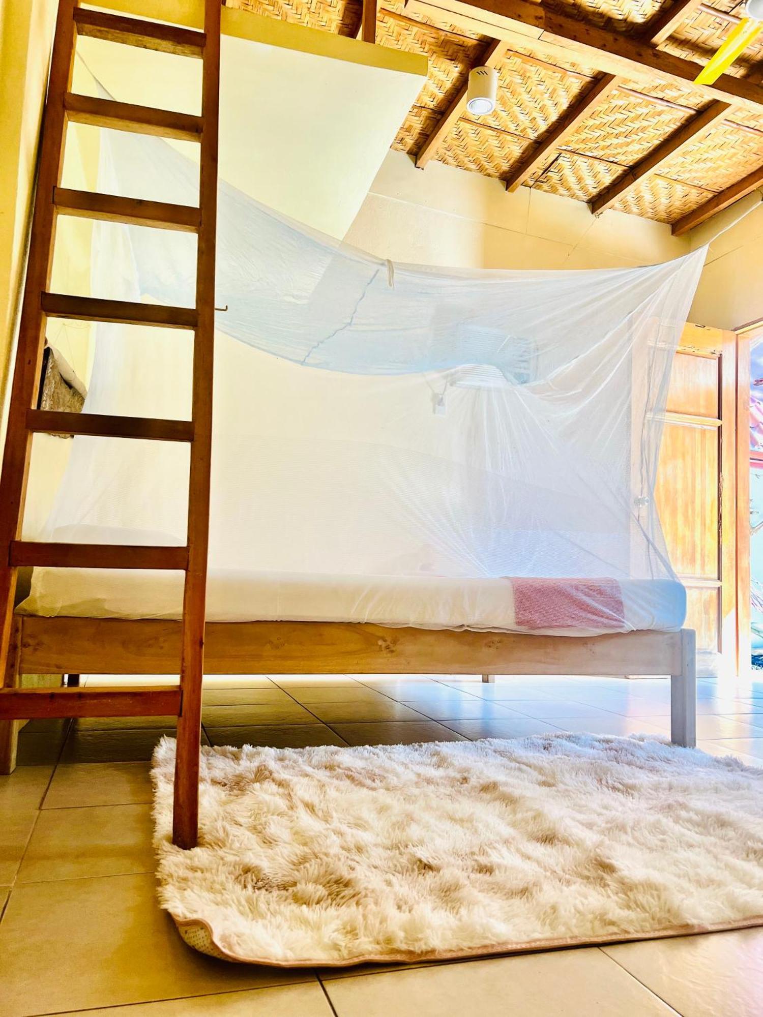 Boholala Hostel Panglao Extérieur photo